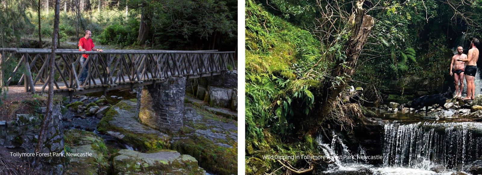 Tollymore Forest Park, Newcastle
